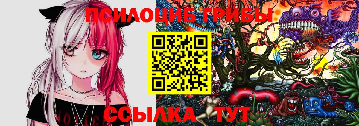 Псилоцибиновые грибы MAGIC MUSHROOMS Петрозаводск